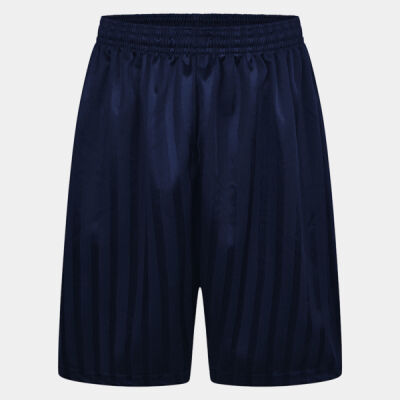 Shadow Stripe PE Shorts Thumbnail